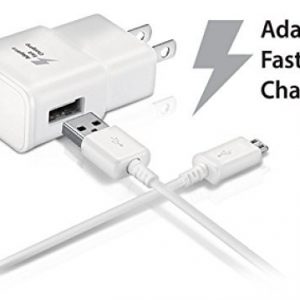 Fast Chargers