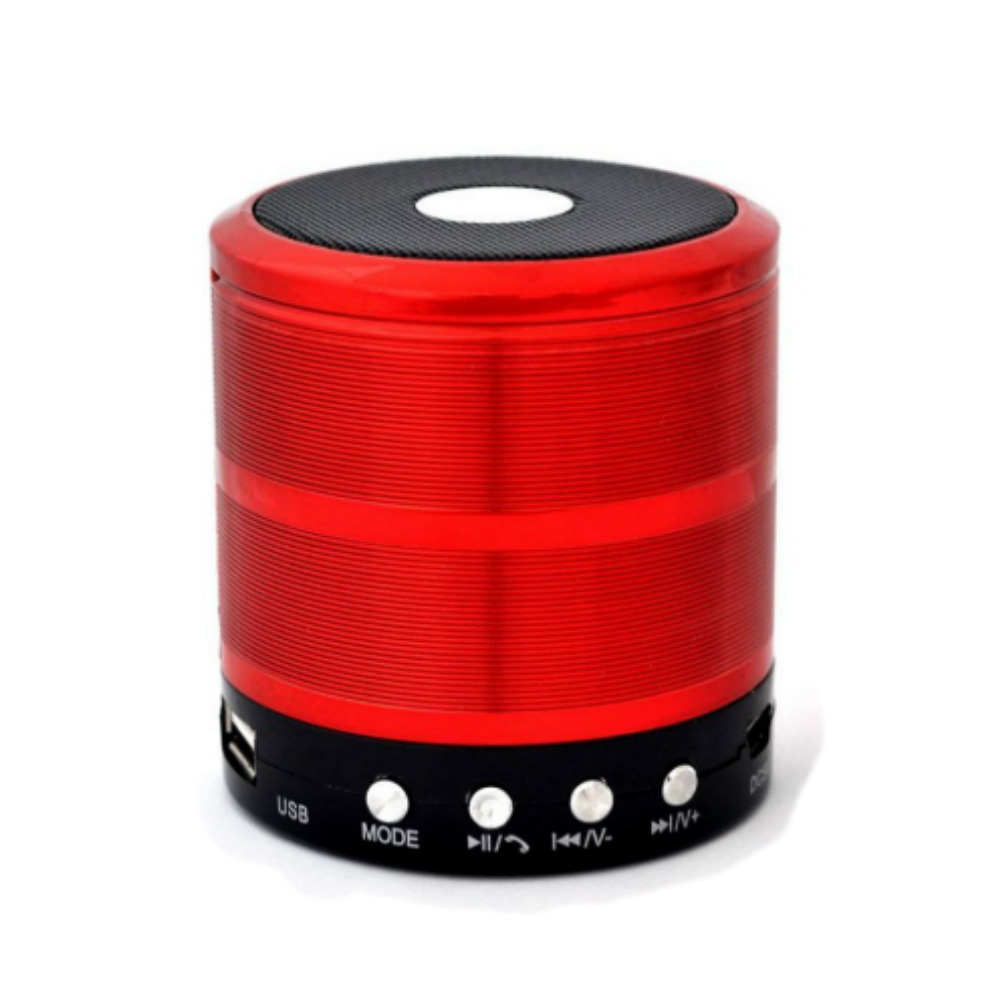 WS-887 Mini Speaker Metal (5 Colour) FM 