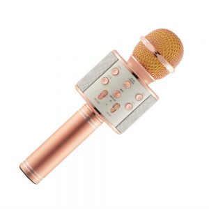 WS 858 Mic (Wireless Mic) Built-in Speaker - Karaoke Mic