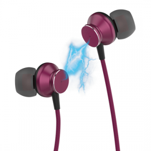 Tessco CH 233 Wired Earphone (In Ear) 6 months Warranty