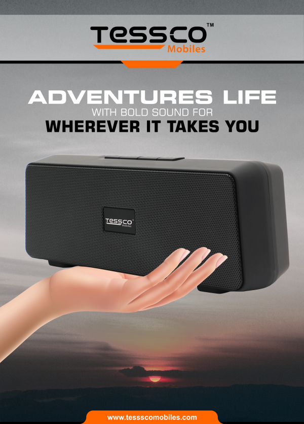Tessco FS 313 10W Bluetooth Speaker (6 Months Warranty) - Image 3