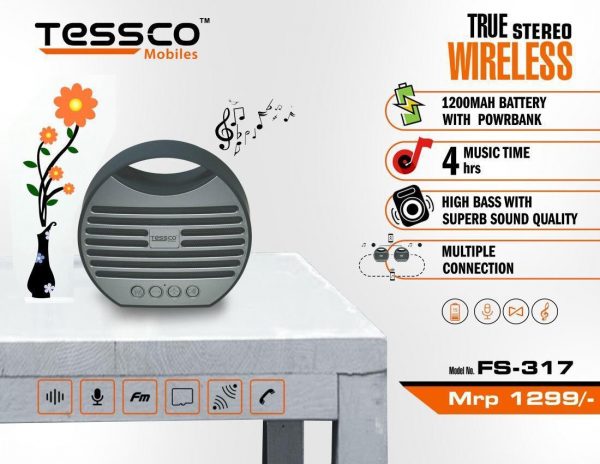 Tessco FS 317 5W Bluetooth Speaker (6 Months Warranty) - Image 9
