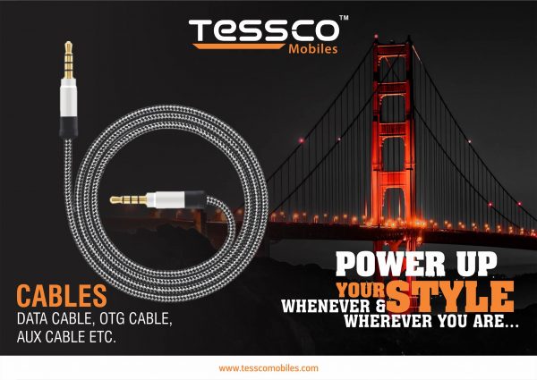 Tessco LA 455 AUX Cable 1meter (6 Months Warranty) - Image 4