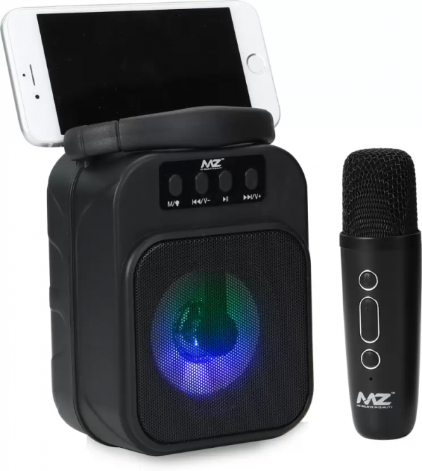 MZ M53VP 6W Pocket Bluetooth Speaker With Wireless Functional Mic - Image 4